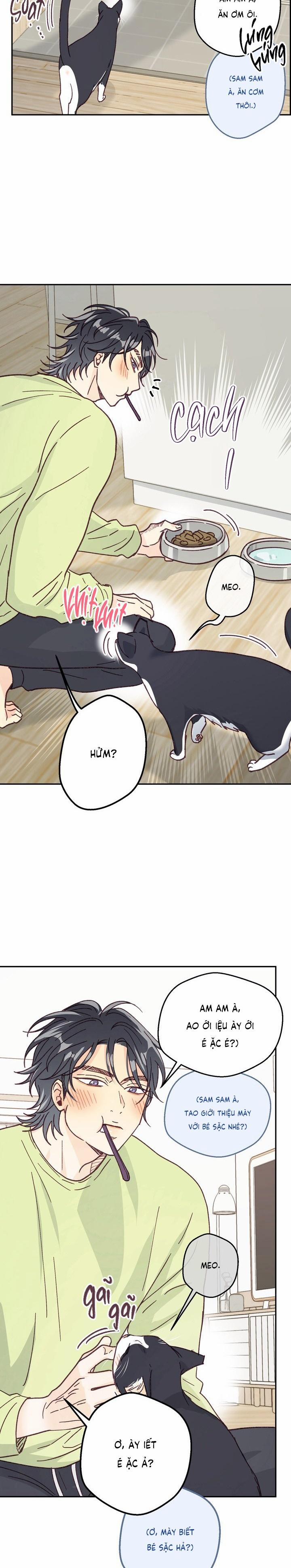 Bạn Trai Vô Song Của Tôi 25 0 trang 16