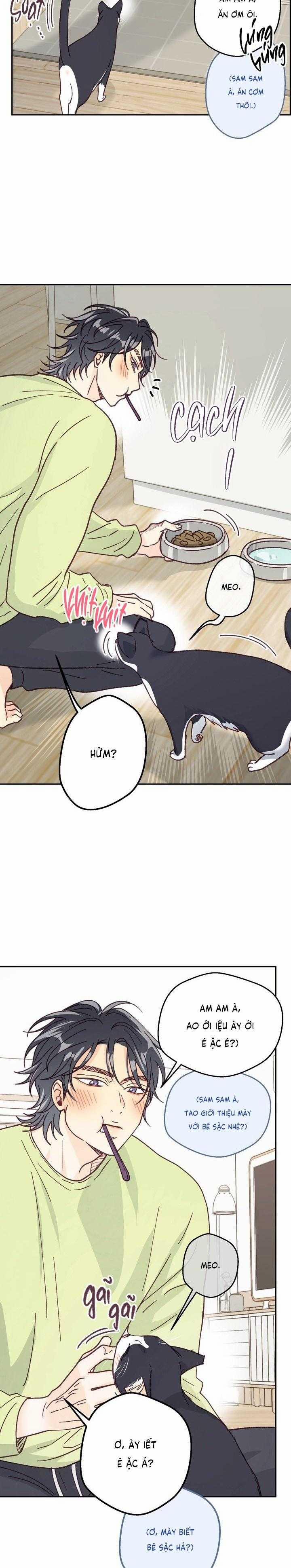 Bạn Trai Vô Song Của Tôi 25 trang 16