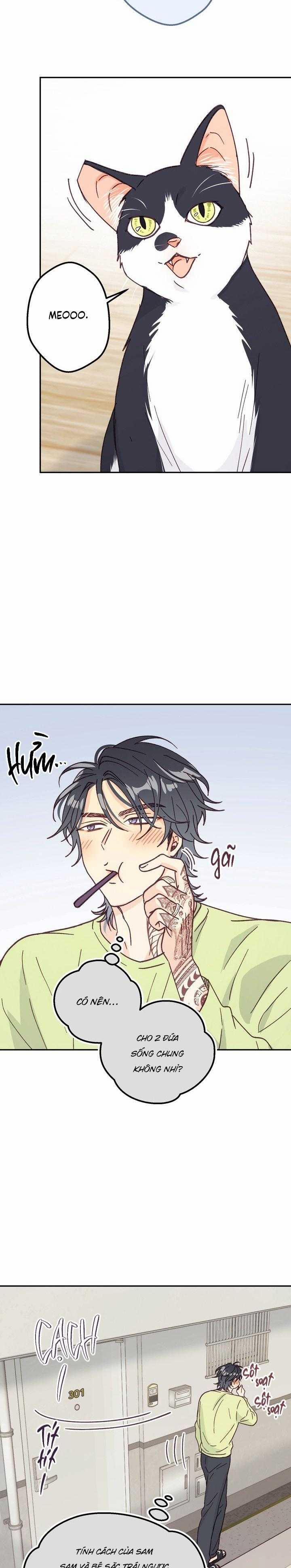 Bạn Trai Vô Song Của Tôi 25 trang 17