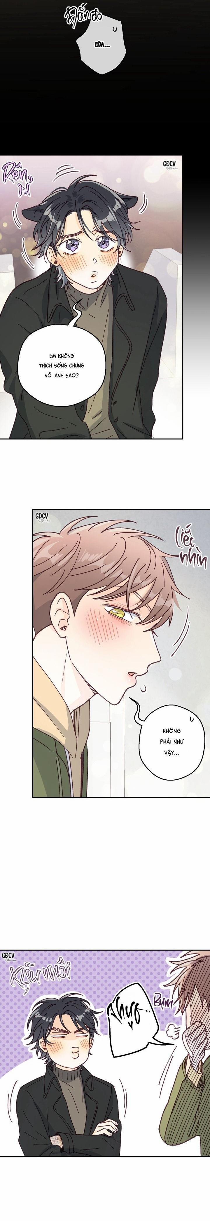 Bạn Trai Vô Song Của Tôi 28 0 trang 22