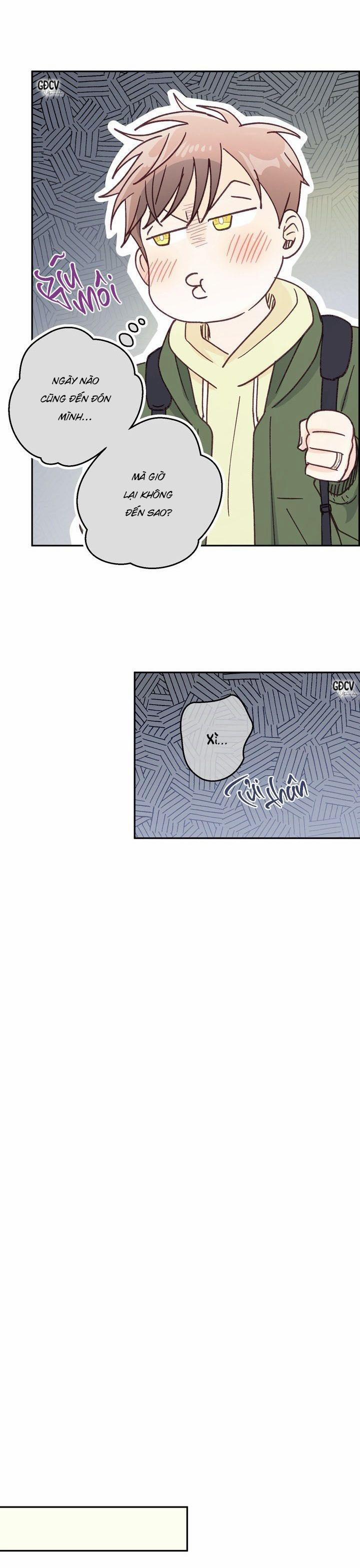 Bạn Trai Vô Song Của Tôi 29 0 trang 11