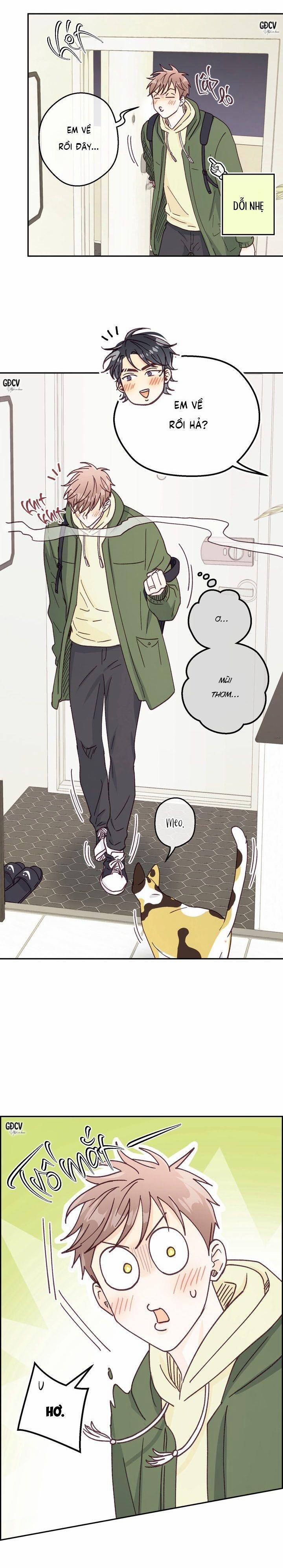 Bạn Trai Vô Song Của Tôi 29 0 trang 12