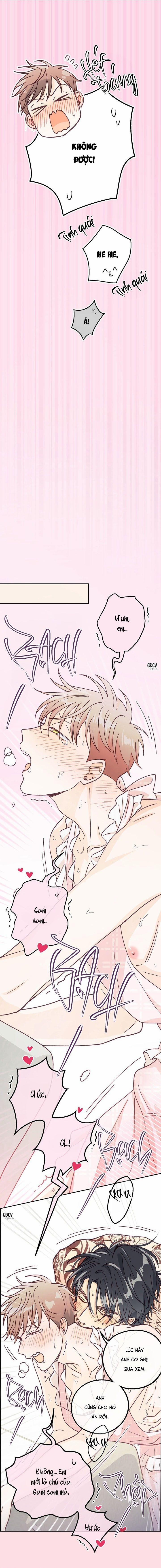 Bạn Trai Vô Song Của Tôi 29 0 trang 19