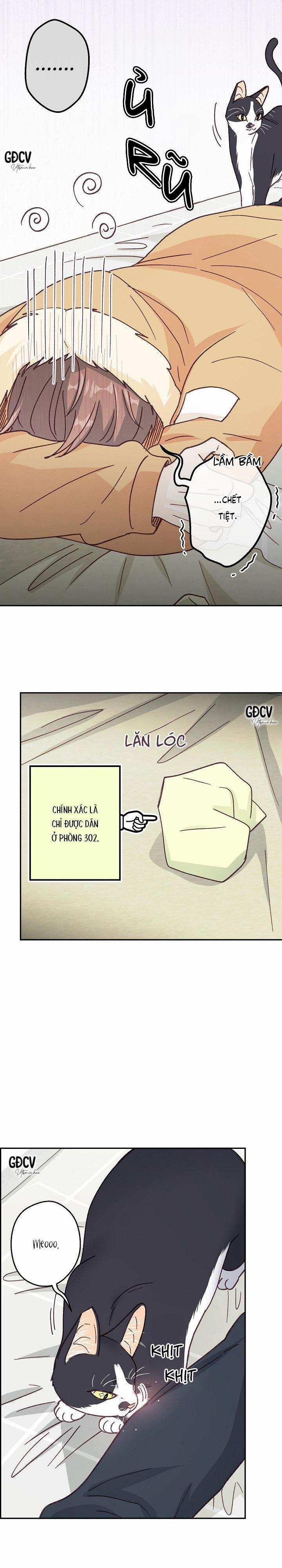 Bạn Trai Vô Song Của Tôi 30 0 trang 11