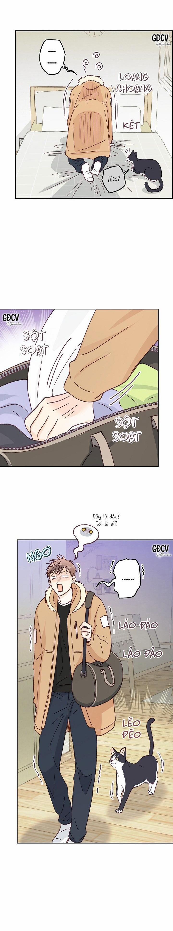 Bạn Trai Vô Song Của Tôi 30 0 trang 12