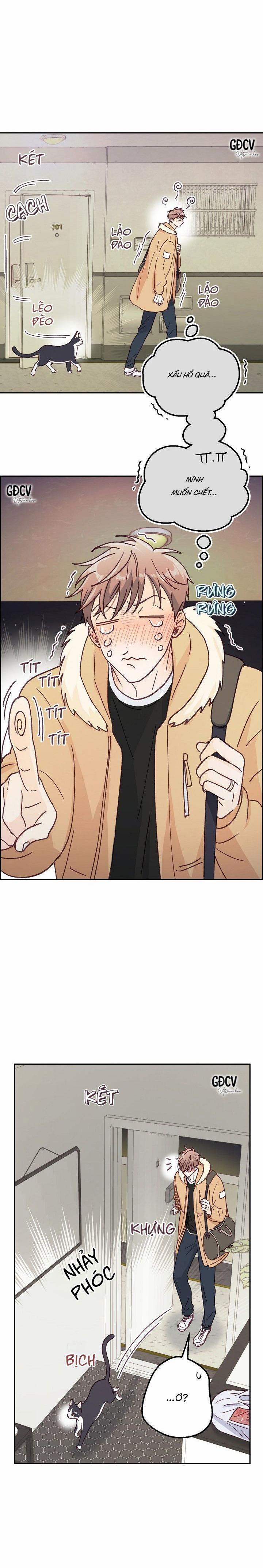 Bạn Trai Vô Song Của Tôi 30 0 trang 13