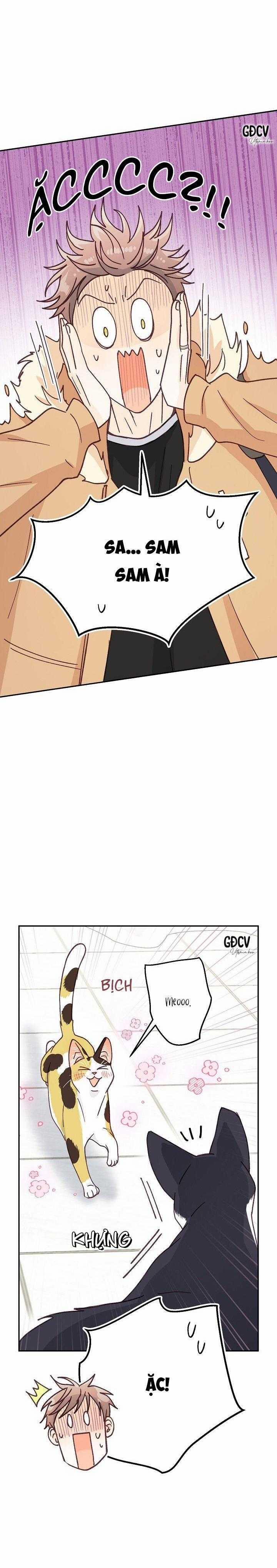 Bạn Trai Vô Song Của Tôi 30 trang 14