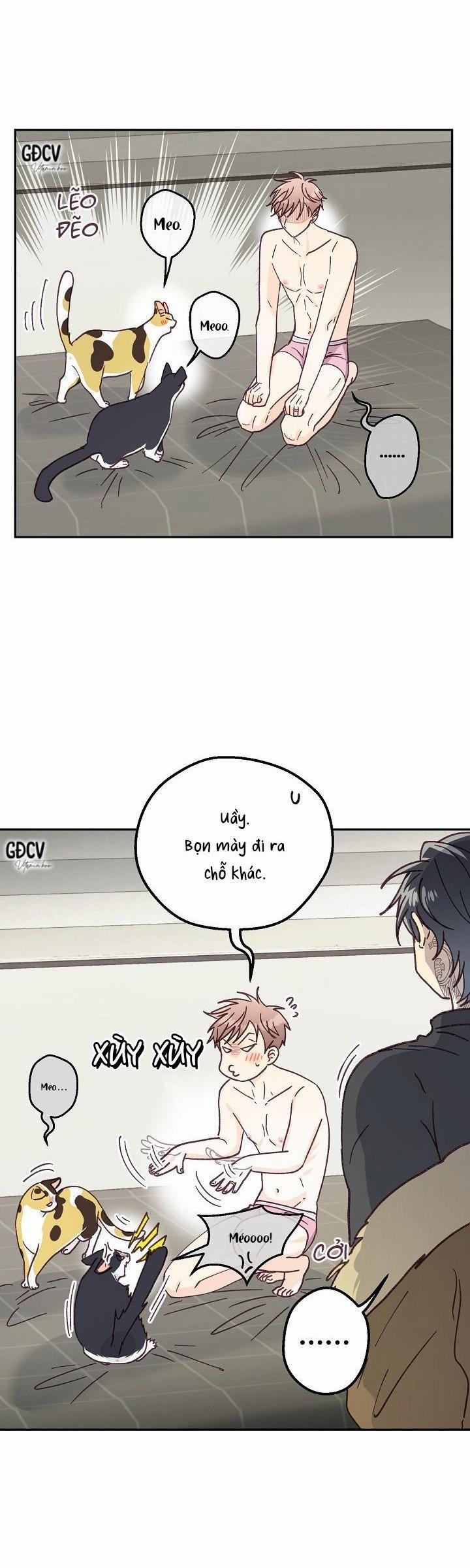 Bạn Trai Vô Song Của Tôi 31 18++ trang 5