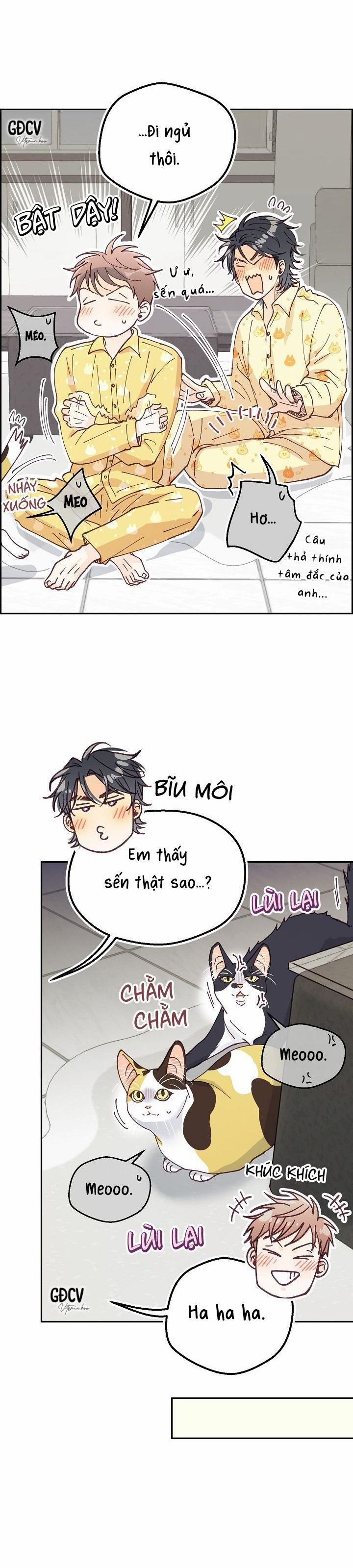 Bạn Trai Vô Song Của Tôi 32 trang 15