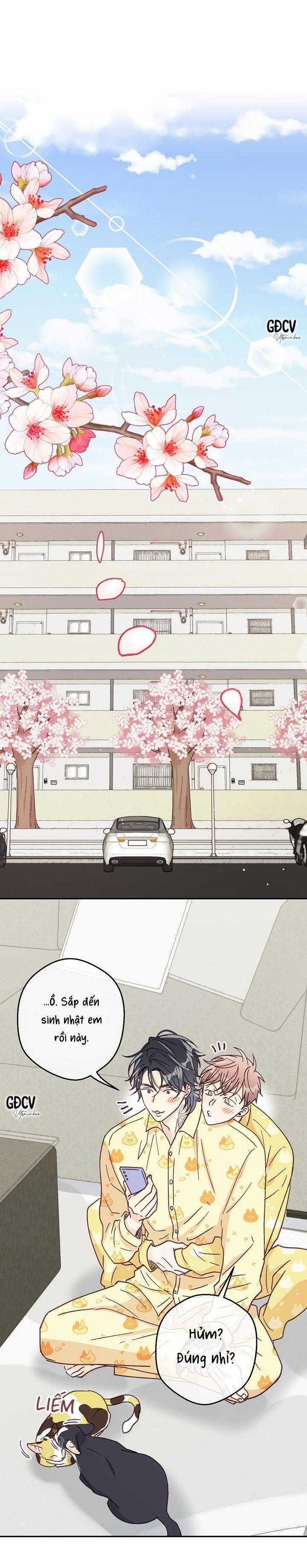 Bạn Trai Vô Song Của Tôi 32 trang 8