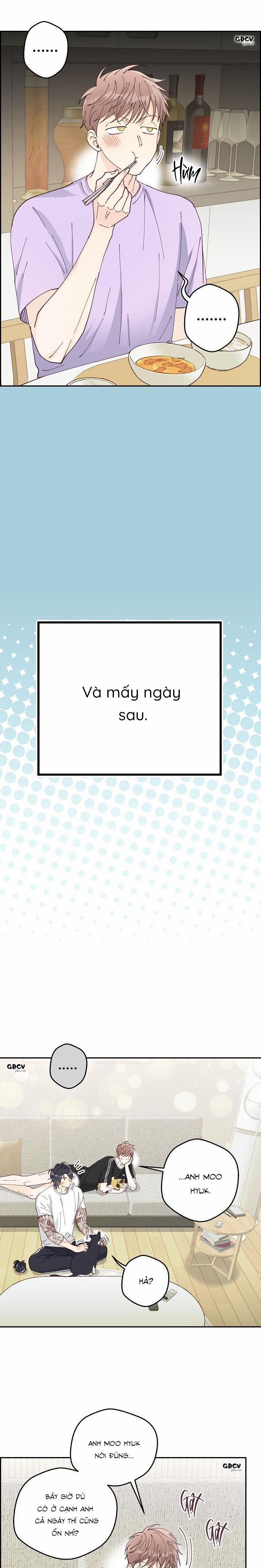 Bạn Trai Vô Song Của Tôi 34 NT2 0 trang 22