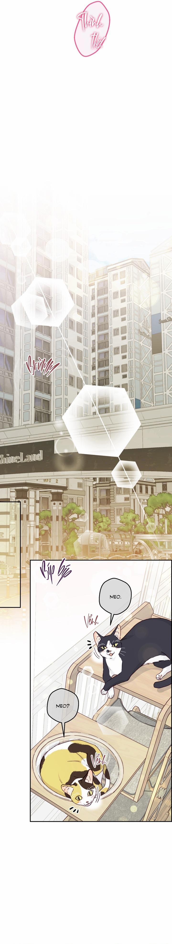 Bạn Trai Vô Song Của Tôi 35 NT3 H+ trang 10