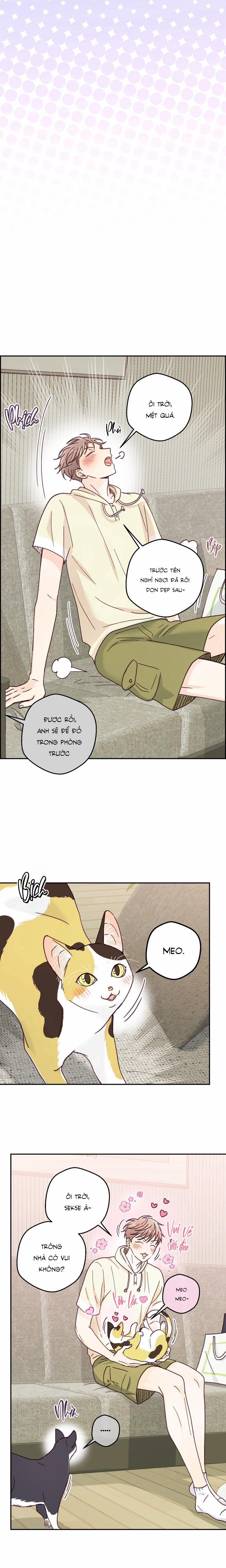 Bạn Trai Vô Song Của Tôi 35 NT3 H+ trang 13
