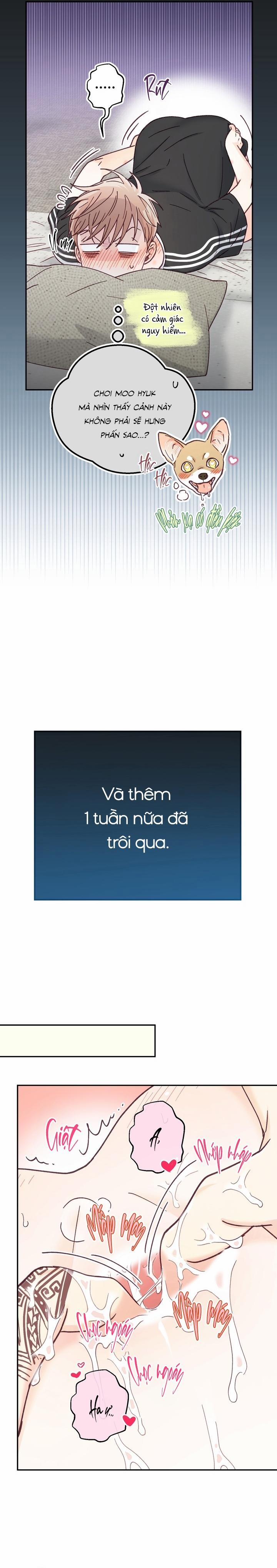 Bạn Trai Vô Song Của Tôi 35 NT3 H+ trang 19