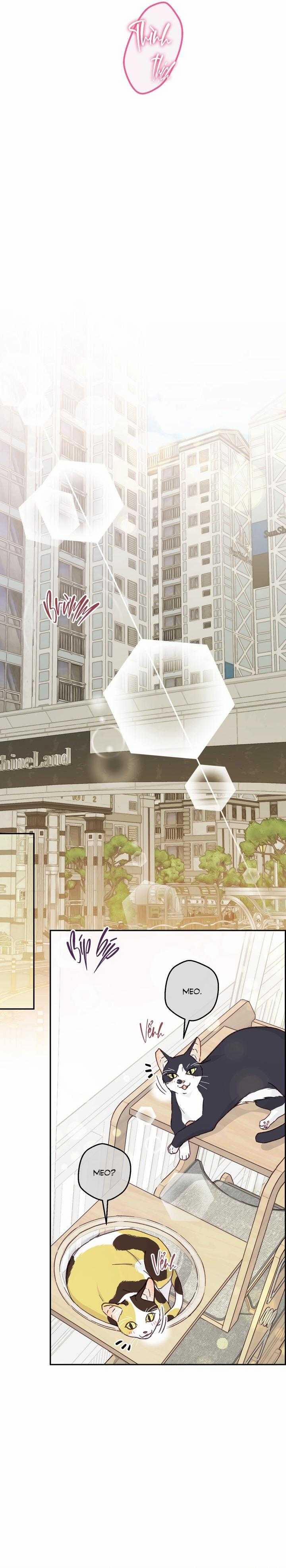 Bạn Trai Vô Song Của Tôi 35 trang 10