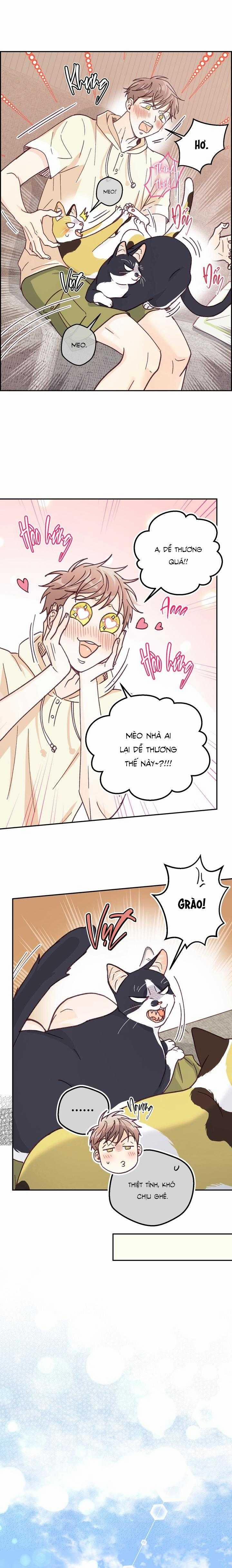 Bạn Trai Vô Song Của Tôi 35 trang 14