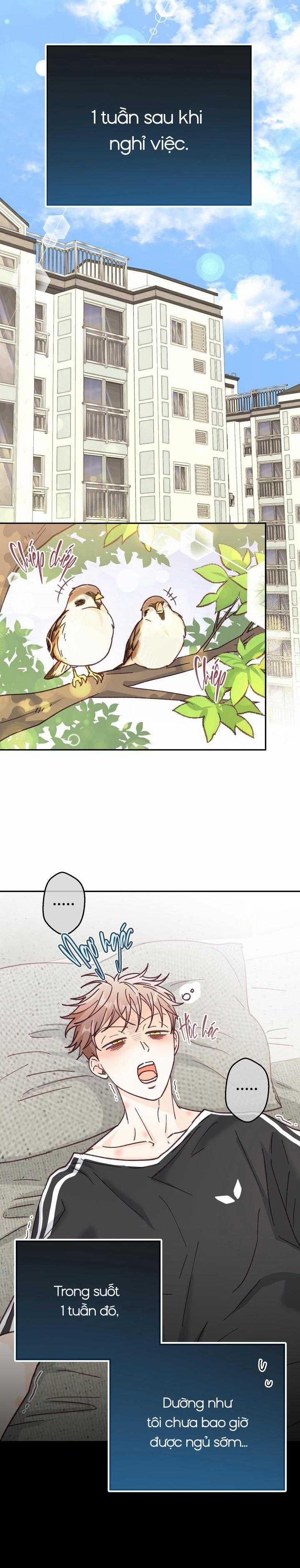 Bạn Trai Vô Song Của Tôi 35 trang 15