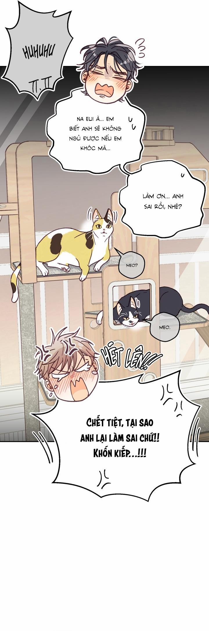 Bạn Trai Vô Song Của Tôi 36 NT4 trang 41