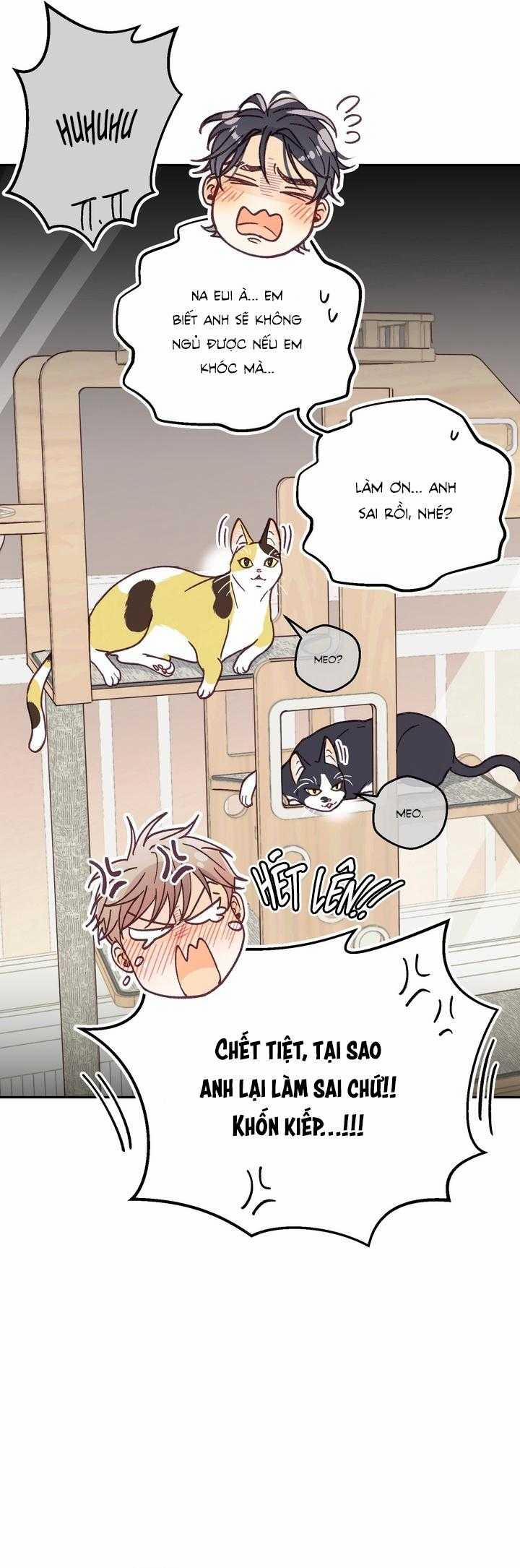 Bạn Trai Vô Song Của Tôi 36 trang 41