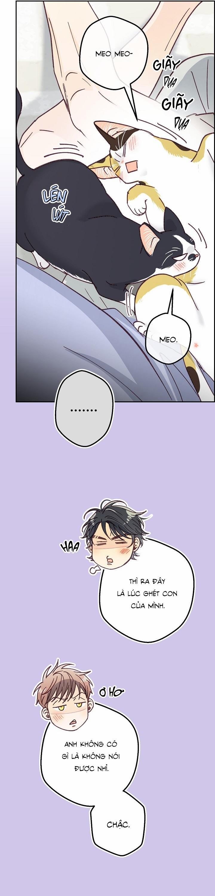 Bạn Trai Vô Song Của Tôi 37 NT5 trang 38