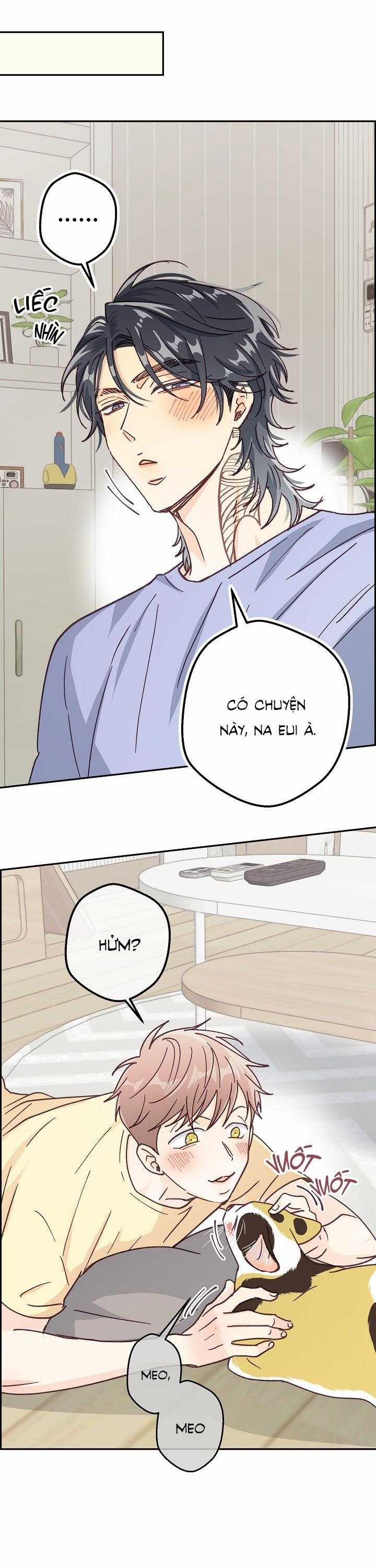 Bạn Trai Vô Song Của Tôi 37 trang 13