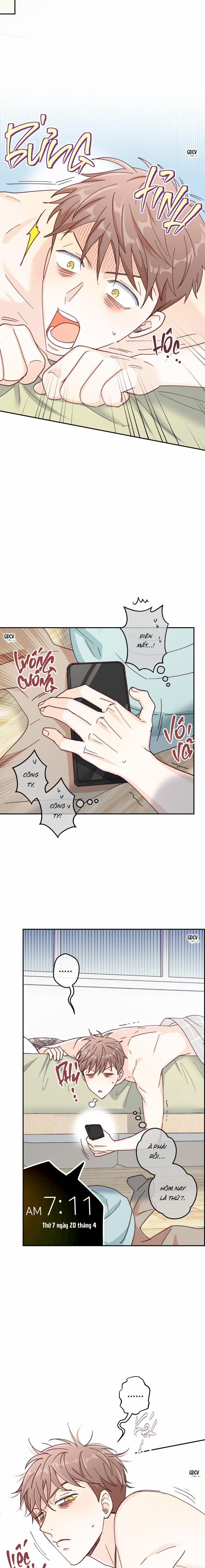 Bạn Trai Vô Song Của Tôi 6 0 trang 21