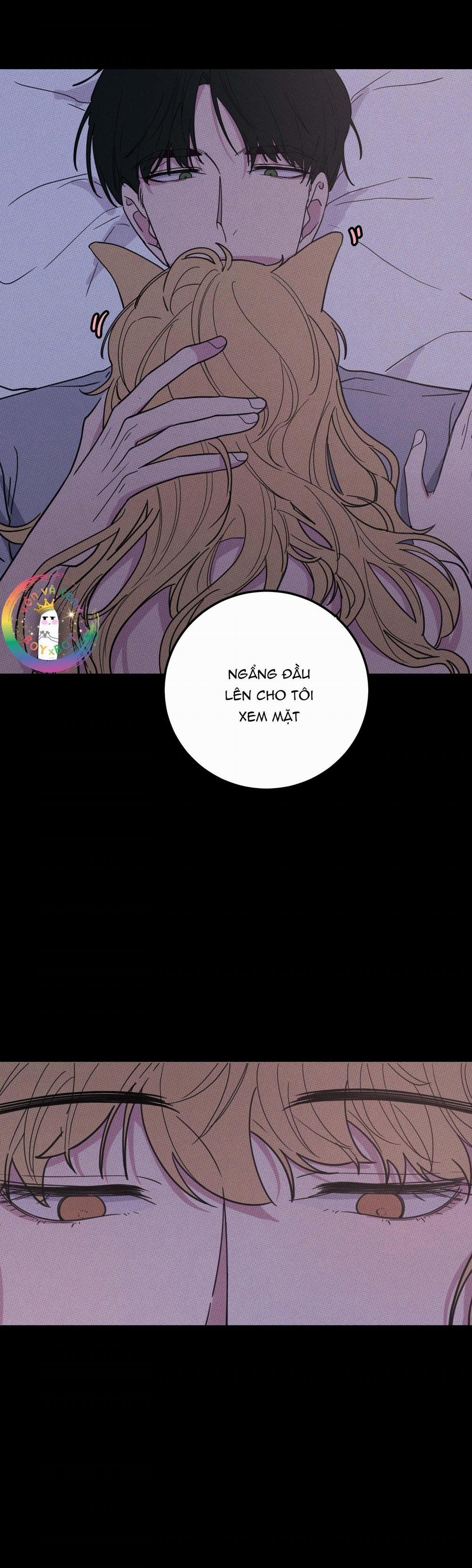 BÁNH QUY TẨM ĐÁ (END) 10 trang 8