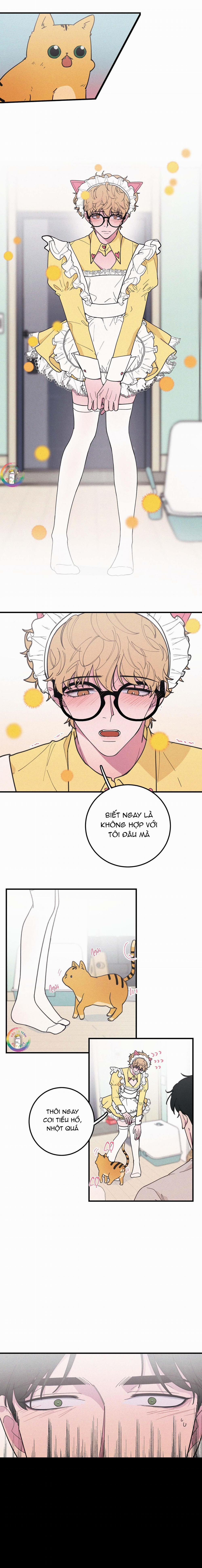 BÁNH QUY TẨM ĐÁ (END) 21 trang 1