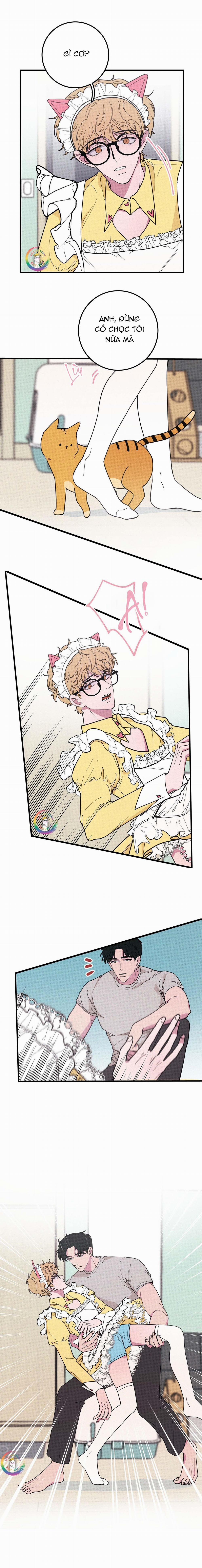 BÁNH QUY TẨM ĐÁ (END) 21 trang 3