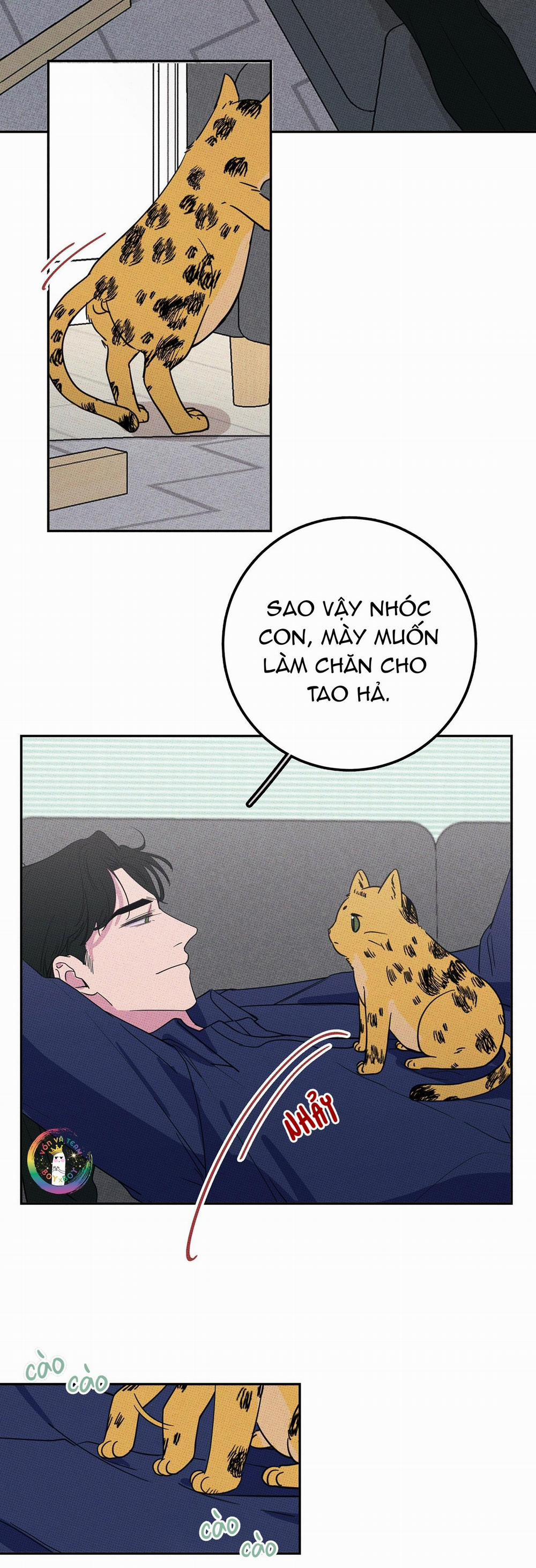 BÁNH QUY TẨM ĐÁ (END) 5 trang 19