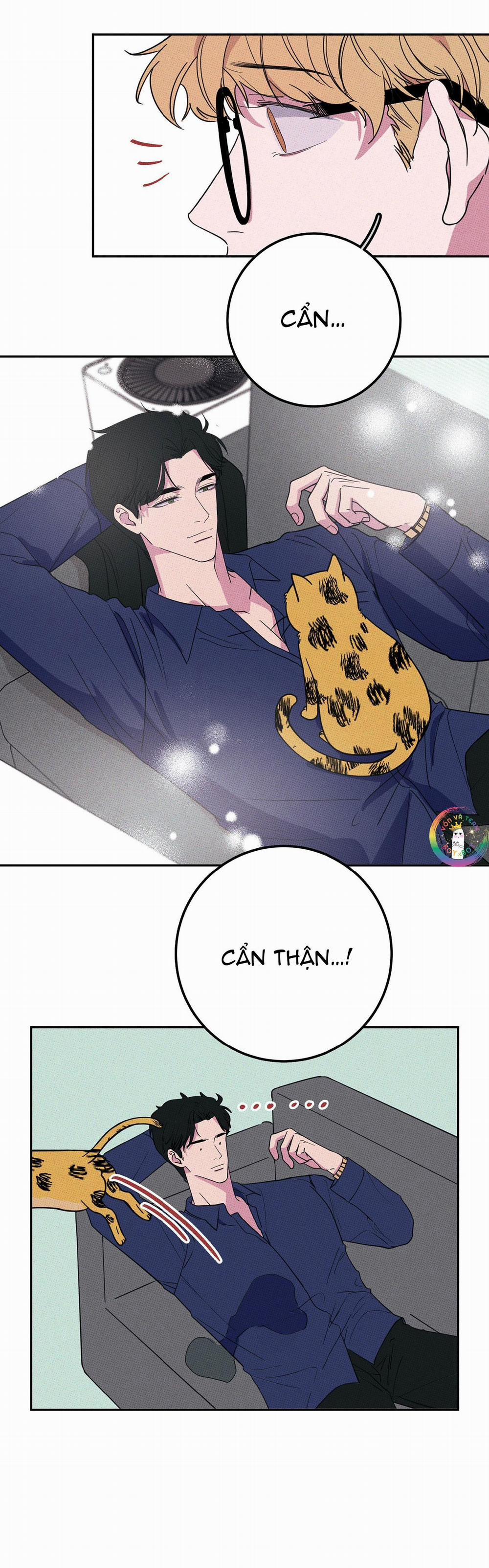 BÁNH QUY TẨM ĐÁ (END) 5 trang 20