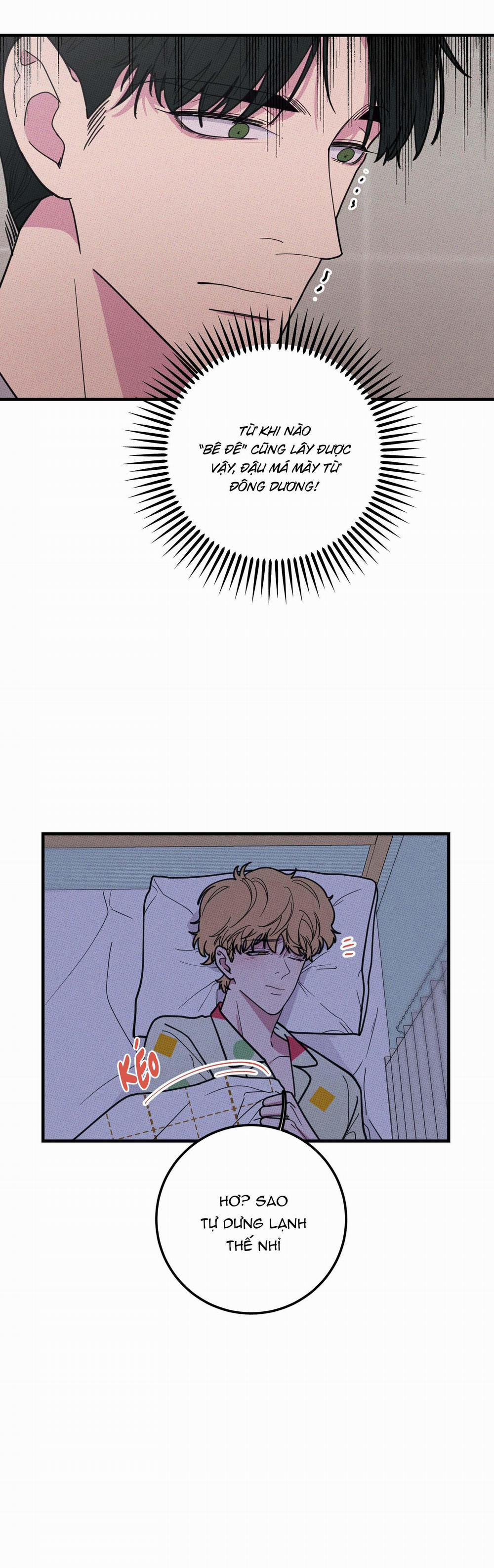 Bánh Quy Tẩm Đá 10 trang 12