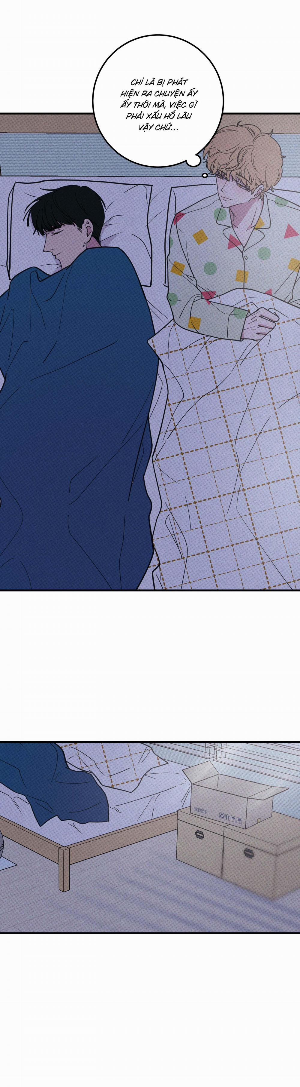 Bánh Quy Tẩm Đá 10 trang 3