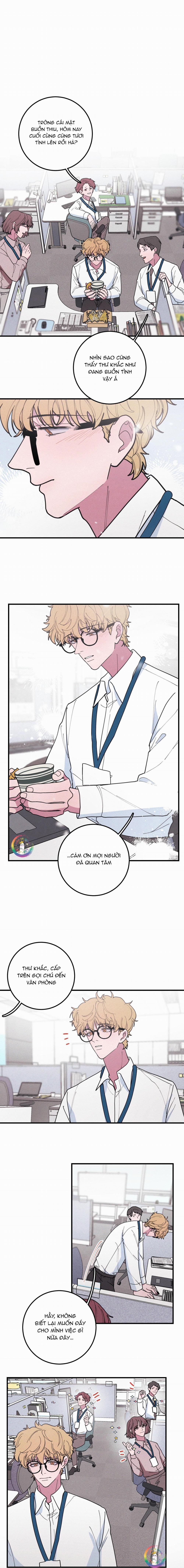 Bánh Quy Tẩm Đá 35 trang 2