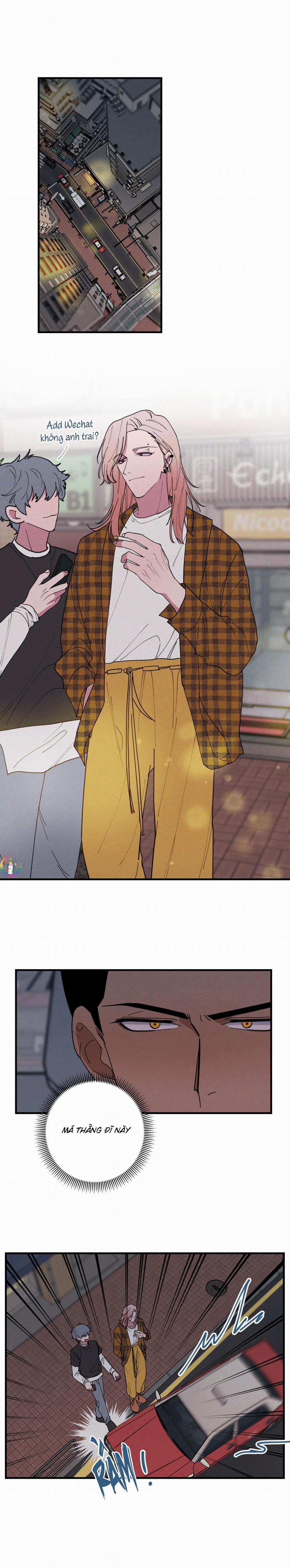 Bánh Quy Tẩm Đá 37 trang 12