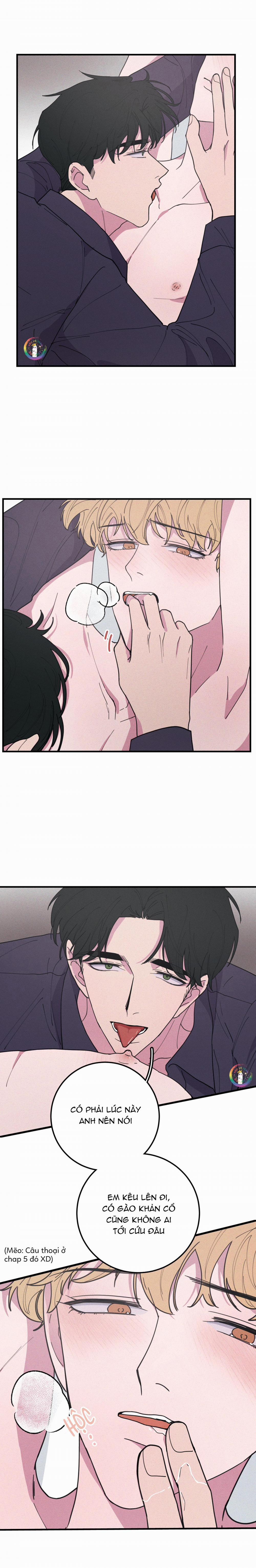 Bánh Quy Tẩm Đá 39 trang 8