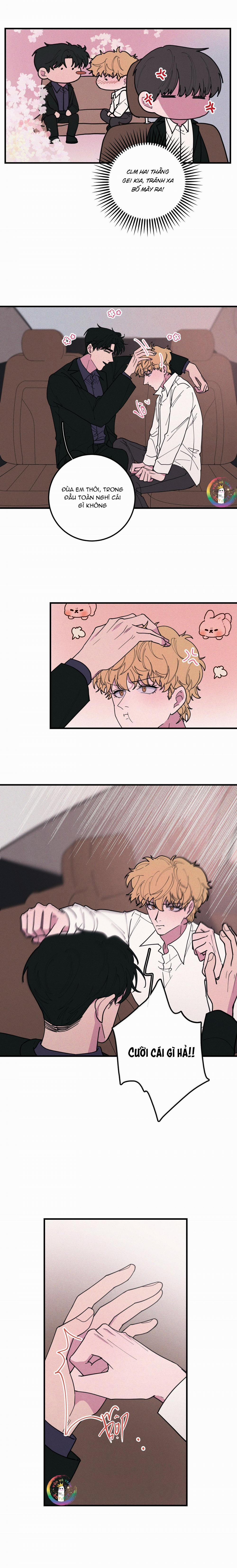 Bánh Quy Tẩm Đá 40 trang 3