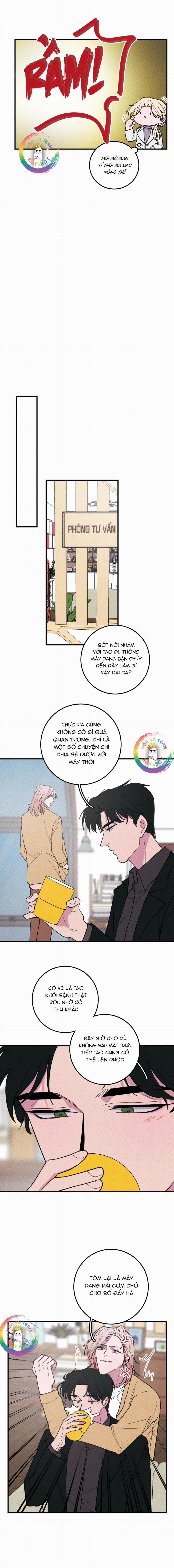 Bánh Quy Tẩm Đá 44 trang 4