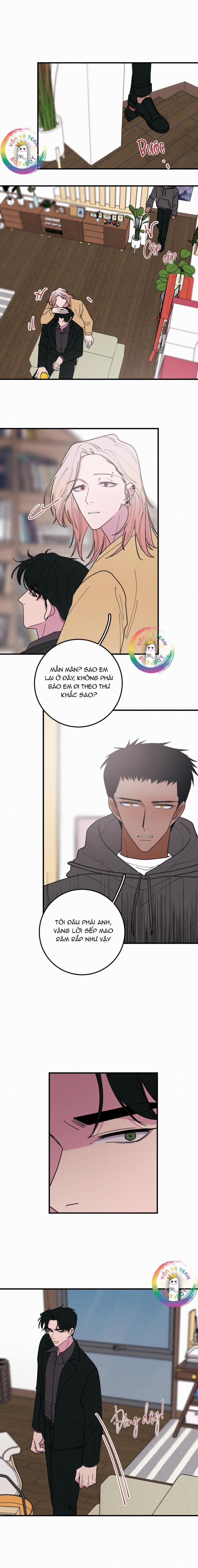 Bánh Quy Tẩm Đá 44 trang 5