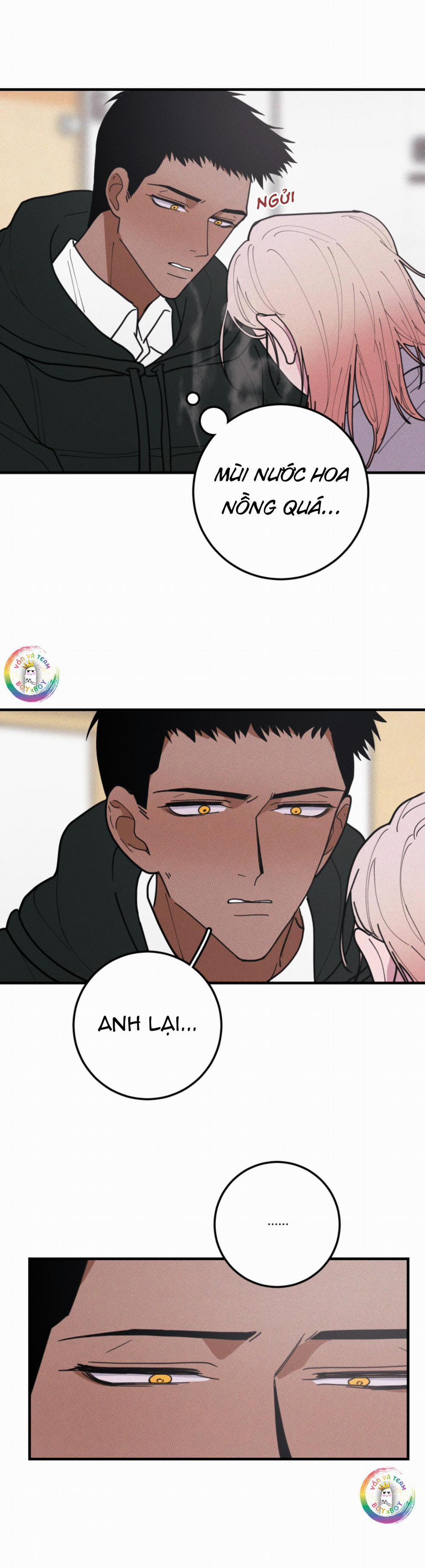 Bánh Quy Tẩm Đá 48 trang 7