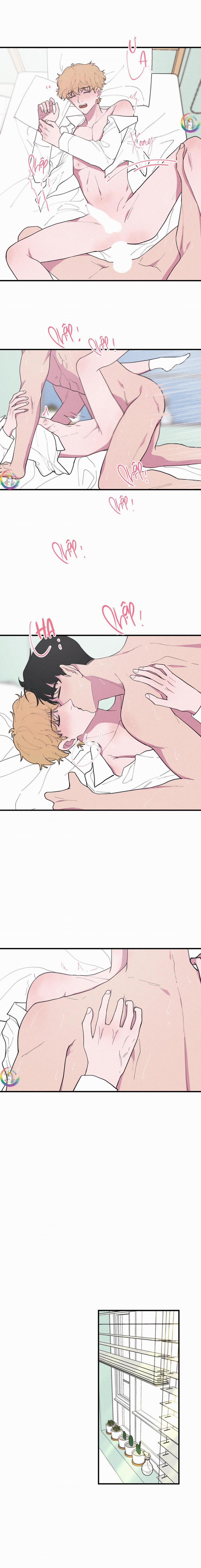 Bánh Quy Tẩm Đá 50 trang 10