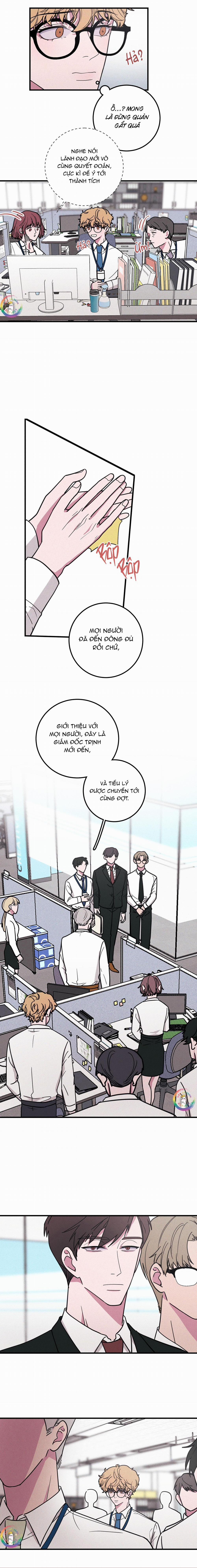 Bánh Quy Tẩm Đá 7 trang 1