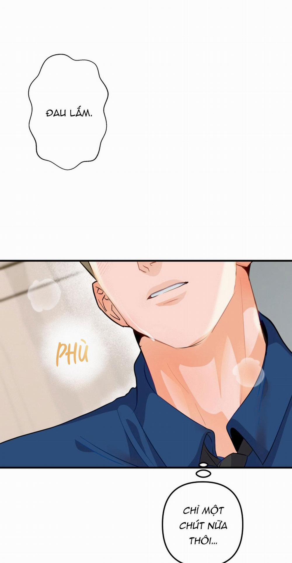 Báo Cáo Chụp Tuyến Tiền Liệt 4 trang 29