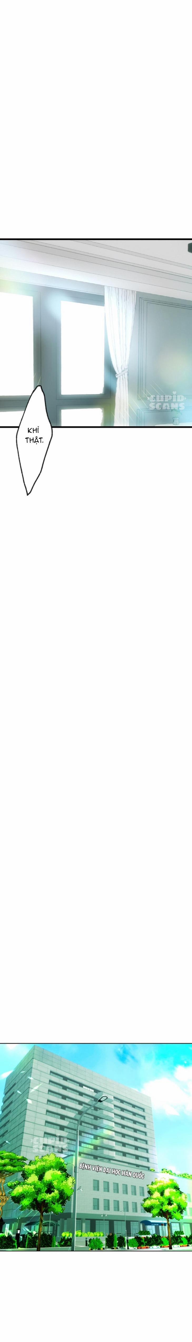 Báo Cáo Chụp Tuyến Tiền Liệtt 6 trang 26