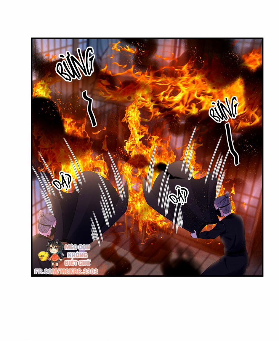 Báo Cáo! Đế Quân Ngài Có Độc! 49 0 Đánh Nhau Còn Để Cho Người Ngoài Xem Trò Cười Nữa trang 8