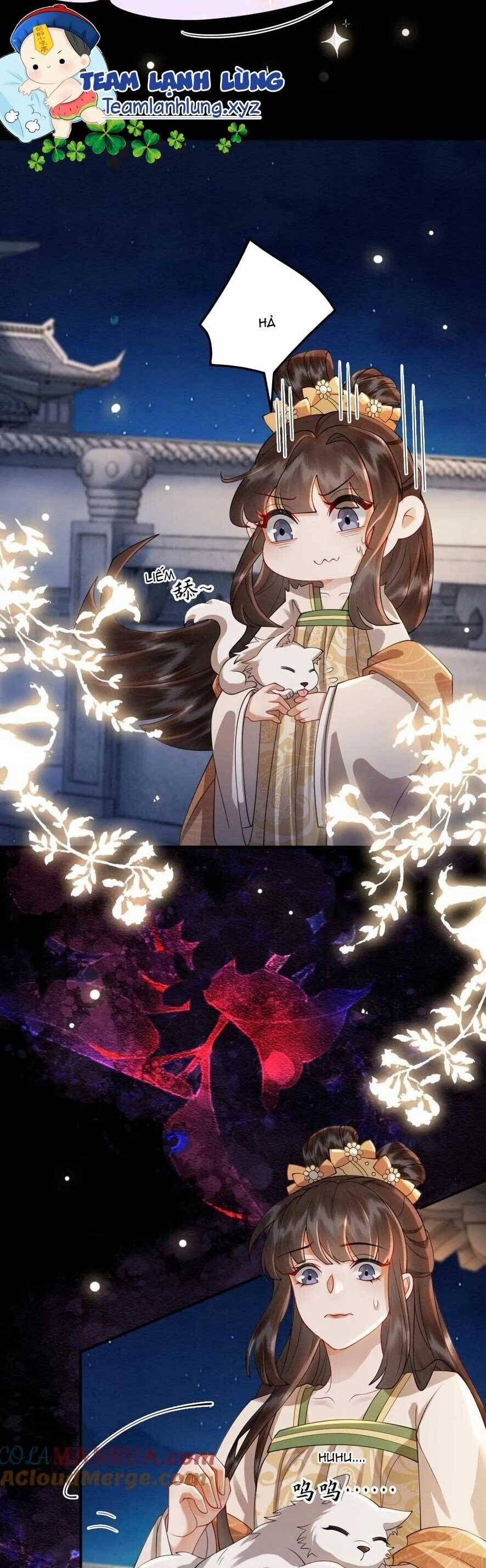 Báo Cáo Nhiếp Chính Vương, Đại Lão Nàng Ấy Chuyên Trị Bệnh Liệt Dương. 201 trang 6