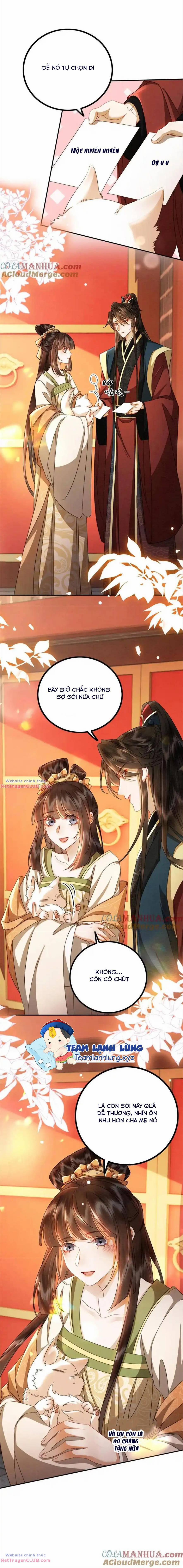 Báo Cáo Nhiếp Chính Vương, Đại Lão Nàng Ấy Chuyên Trị Bệnh Liệt Dương. 203 trang 9