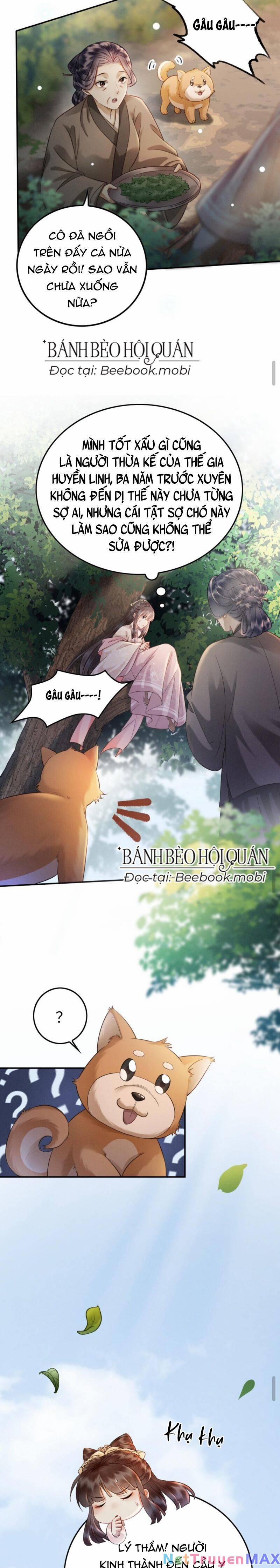 Báo Cáo Nhiếp Chính Vương, Đại Lão Nàng Ấy Chuyên Trị Bệnh Liệt Dương. 3 trang 5