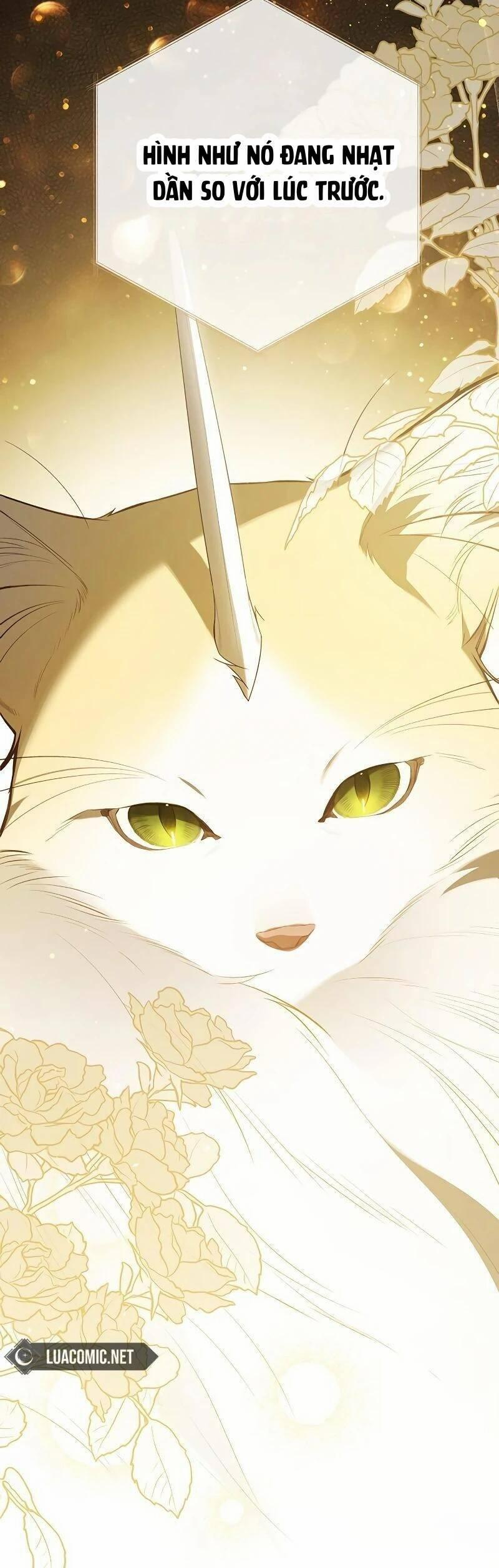 Bạo Chúa Bé Con 85 trang 62