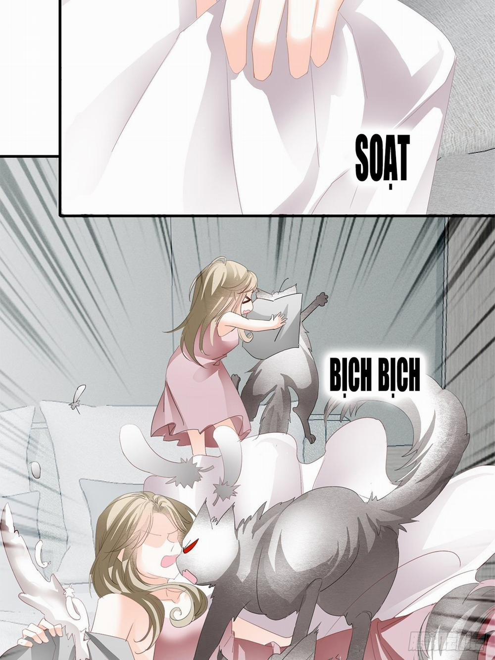 Bạo Quân Ái Nhân 42 trang 19